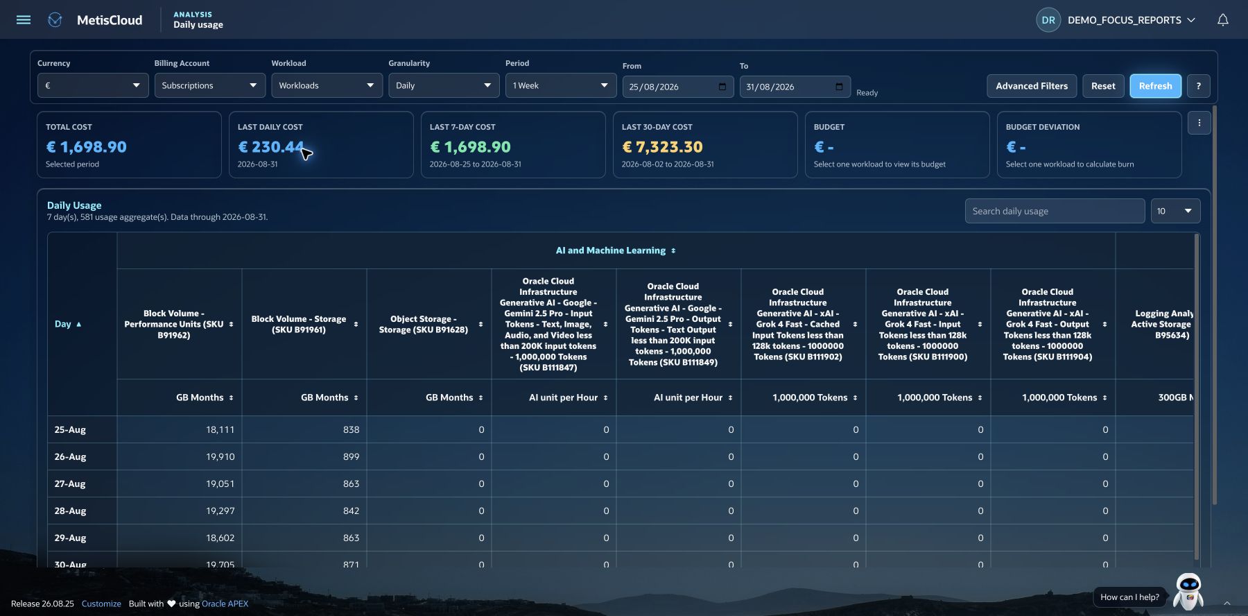 Daily usage demo report grouping services and SKUs with their quantities and measurement units.